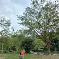 Keningau Attraction 🌳✨️