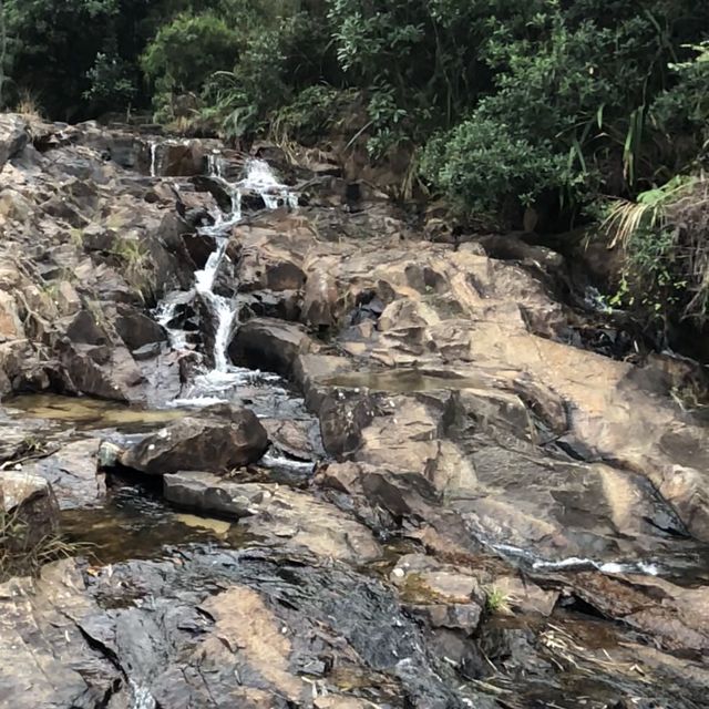 大欖涌水塘行山之旅