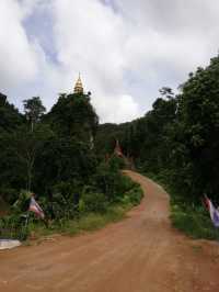 อุทยานธรรมนาในหลวง สุราษฎร์ธานี