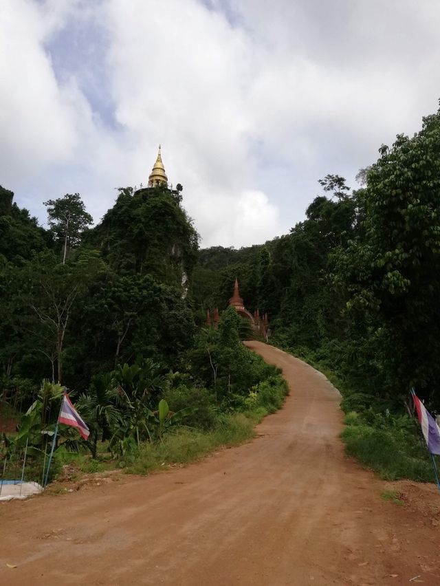 อุทยานธรรมนาในหลวง สุราษฎร์ธานี