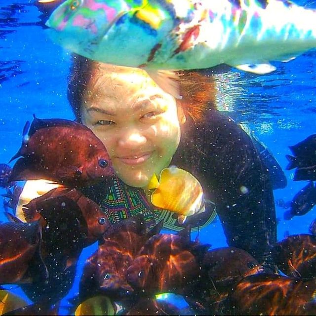 Snorkeling at the world's famous marine park