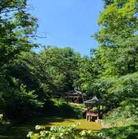 [서울]🌿부용 천국인 창덕궁 후원🏡