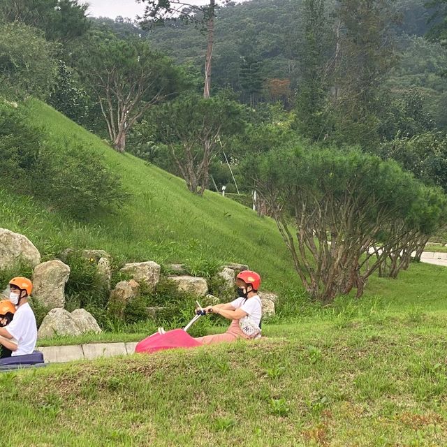 루지타고 액티비티 즐겨요~~
