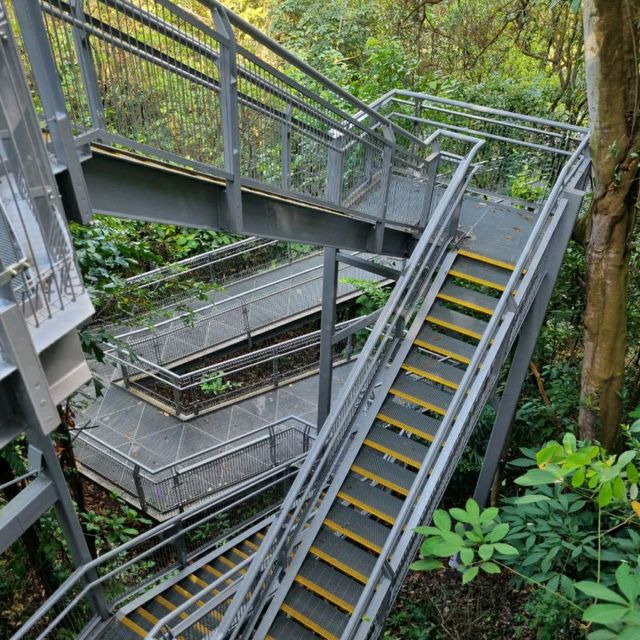 Henderson waves trail