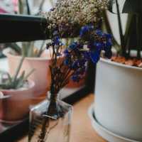 คาเฟ่ย่านตลาดเก่า ยะลา "Nous.homecafe"