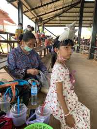 โลกของช้าง 🐘 สุรินทร์ซิตี้