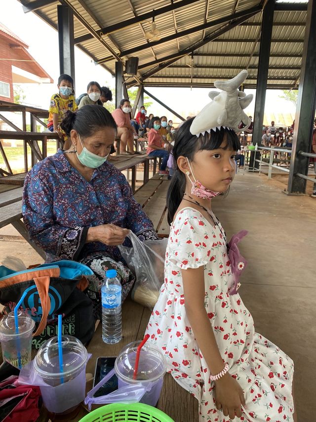 โลกของช้าง 🐘 สุรินทร์ซิตี้