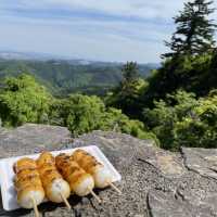 魅力沢山高尾山