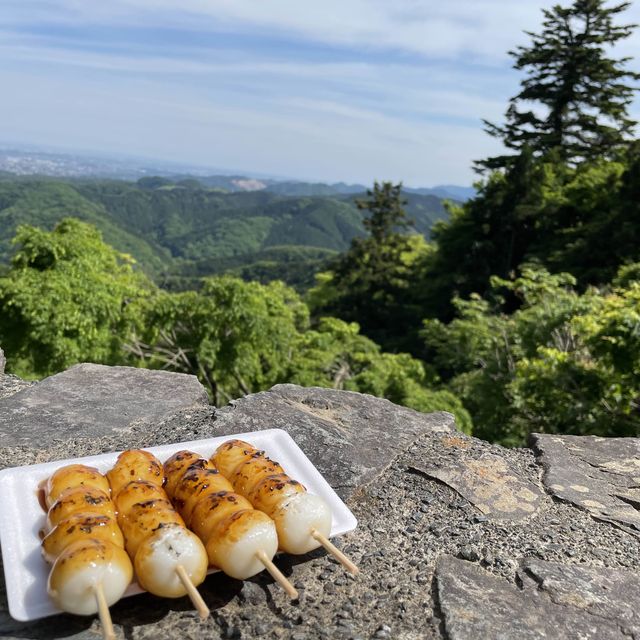 魅力沢山高尾山