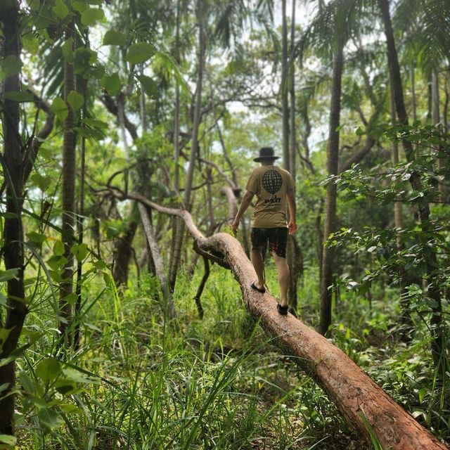 Explore Litchfield National Park with us!