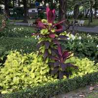 Hoang Van Thu Park