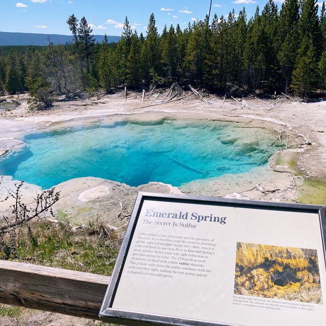 West Yellow Stone National Park 