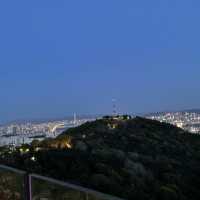 Namsan at Night