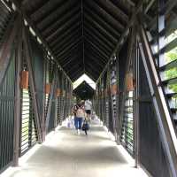 Memorable trip with family 