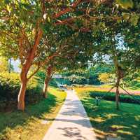 Nuwa park 🧘‍♀️🌿❤️