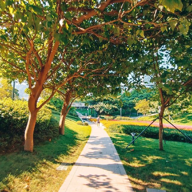 Nuwa park 🧘‍♀️🌿❤️