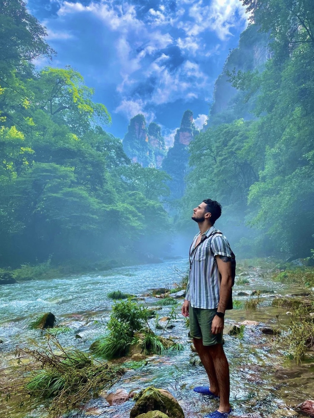 Zhangjiajie National Forest Park attraction reviews - Zhangjiajie National  Forest Park tickets - Zhangjiajie National Forest Park discounts - Zhangjiajie  National Forest Park transportation, address, opening hours - attractions,  hotels, and food
