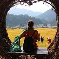 Golden Rice Terraces Oujia Village, Taibao Town, Lianshan, Yao Autonomous County, Qingyuan