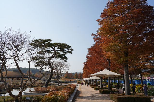 최고의 데이트 명소 추천! 전남 순천만 습지