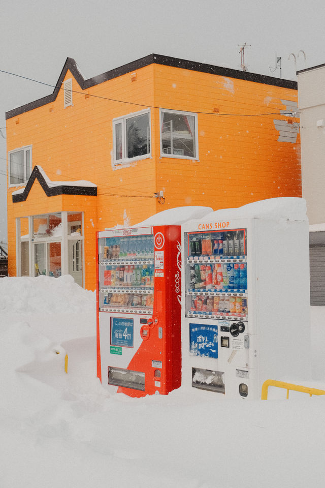 Hokkaido 🇯🇵 Asari, let's take a look at the snow and sea here ❄️