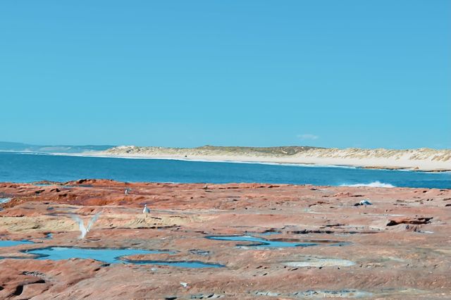 Kalbarri's Wilderness