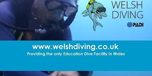 SCUBA DIVING - TRY DIVES (Bryntirion School Bridgnd ) | Bryntirion Comprehensive School