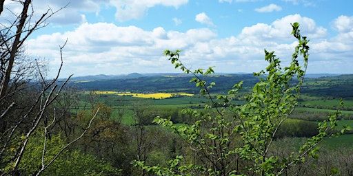 Walk 57 Harley via Wenlock Edge 17 miles | The Toll House, Ironbridge