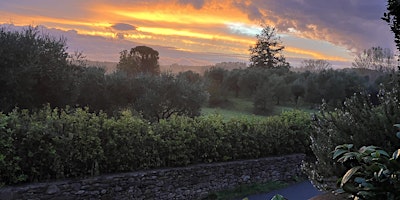 PREREGISTRATION ONLY: San Ginese Artist Residency in Tuscany June 23-29 | Locanda San Ginese - Room, Bed & Breakfast, Via di San Ginese, Capannori, Province of Lucca, Italy