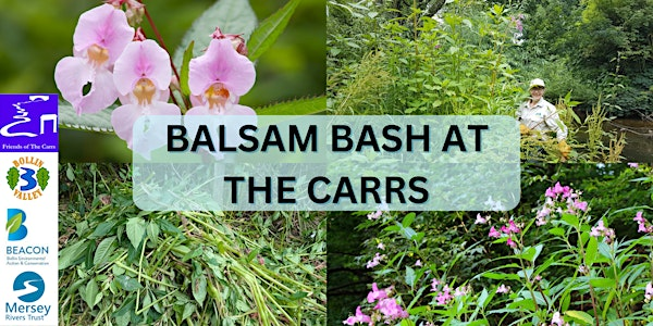 Balsam Bash at The Carrs | The Carrs Park