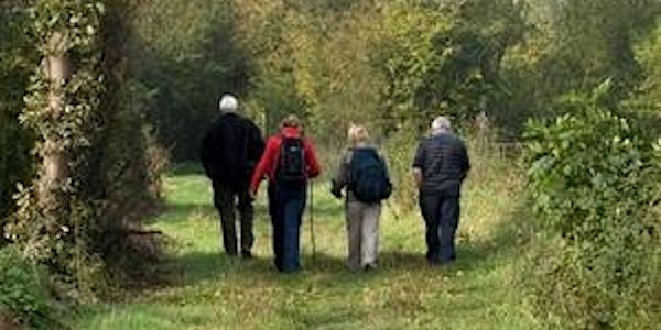 Guided walk: Summer Birds | Sevenoaks Wildlife Reserve & Jeffery Harrison Visitor Centre