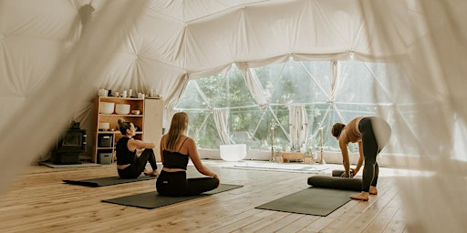 In Luminous Silence | Nectar Yoga Retreat