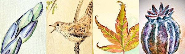Autumn Colour | Queenswood Country Park and Arboretum