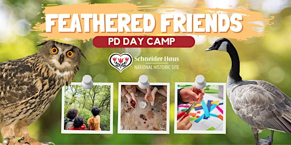 Schneider Haus October PD Day Camp - Feathered Friends | Schneider Haus National Historic Site