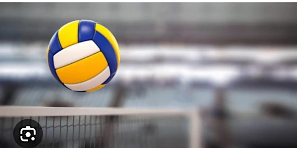 ASSC Volleyball | Avon View High School