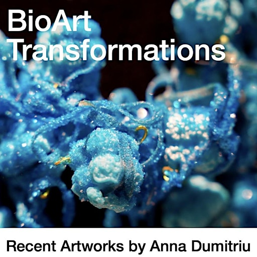 BioArt Transformations - Art Science Discussion and Drinks Reception | 13 Brunswick Square