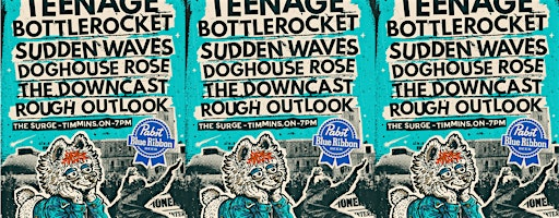 HOG Fest - Teenage Bottlerocket | The Surge