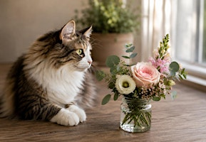 National Cat Day Bloom Bar | Bloom Culture