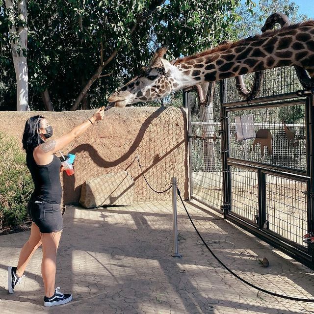 San Diego Zoo