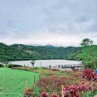 宜蘭 | 「龍潭湖特定風景區」，園區內有超多白鷺鷥棲息，還有悠遊在湖畔的鴨子群