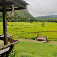 วิวหลักล้าน กาแฟสดช้างไทย แม่ฮ่องสอน