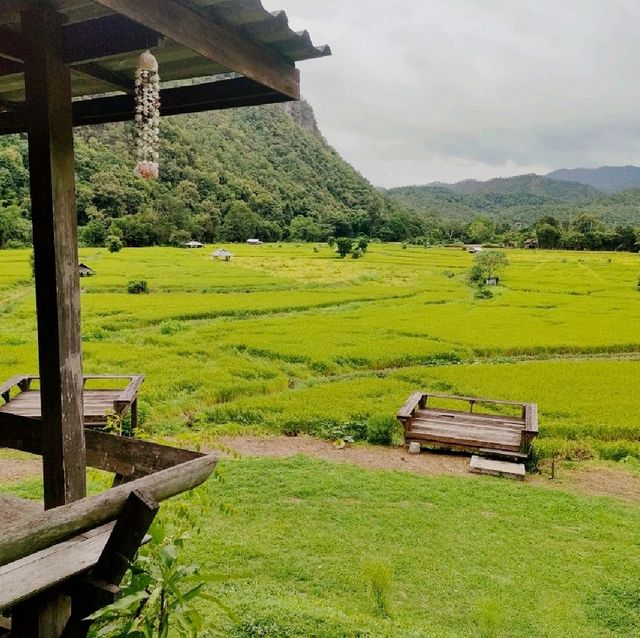 วิวหลักล้าน กาแฟสดช้างไทย แม่ฮ่องสอน