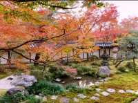 京都[紅葉めぐり]  永観堂(禅林寺)  圧巻の堂内編