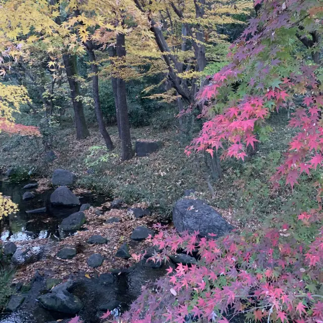 【千代田区】武道館すぐ横　北の丸公園