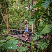 ร้านอาหารแนวสุขภาพ วิวสวย เขาใหญ่