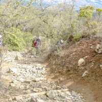 新緑の相模湾を眺めつつの登山