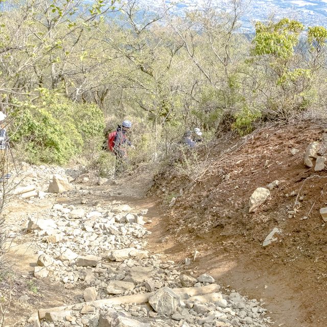新緑の相模湾を眺めつつの登山