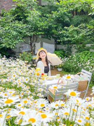 ピクニックを売るお店には幸せもパンダ🤍