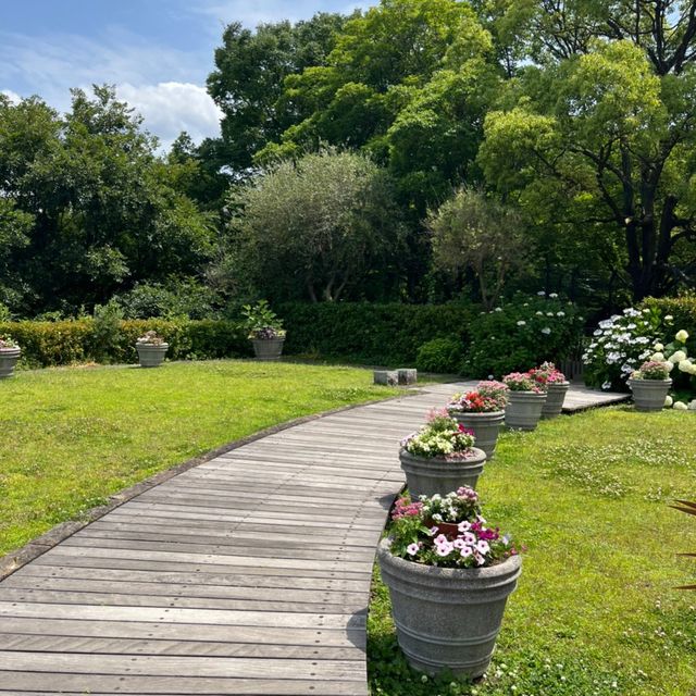 江坂公園めちゃくちゃ広すぎる😳⸜🌷︎⸝‍