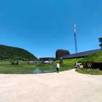 【滋賀県近江八幡市】ラコリーナのコレは何？