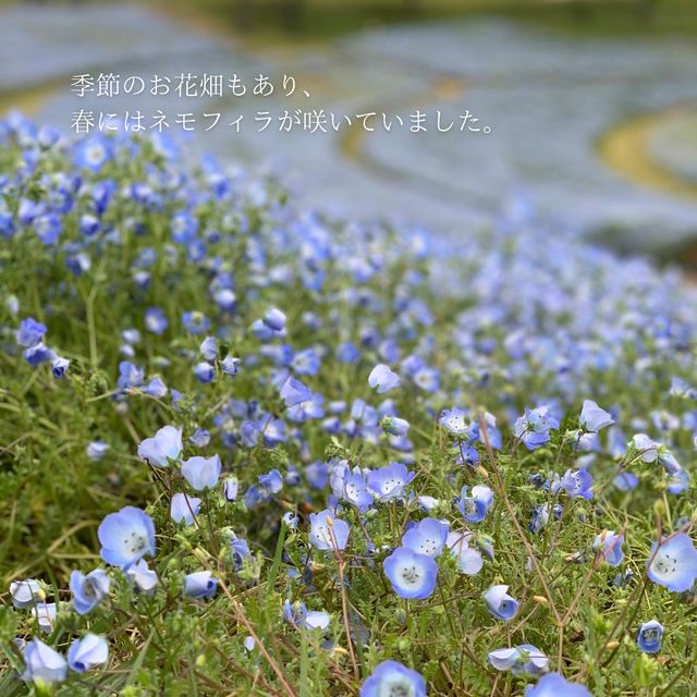【千葉県】大人も楽しいマザー牧場